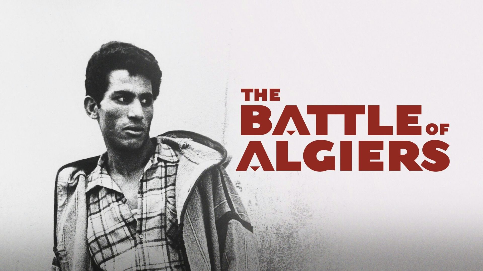 11 - La Bataille d'Alger, 1966