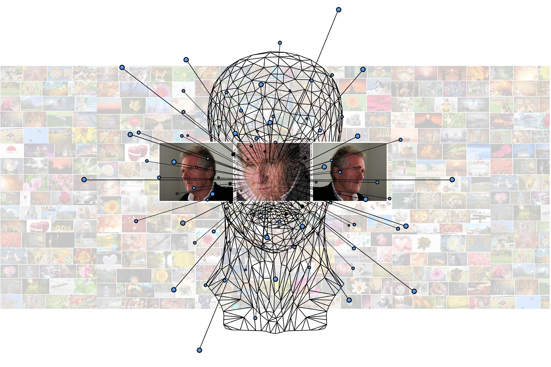 Los investigadores utilizaron algoritmos de reconocimiento facial 