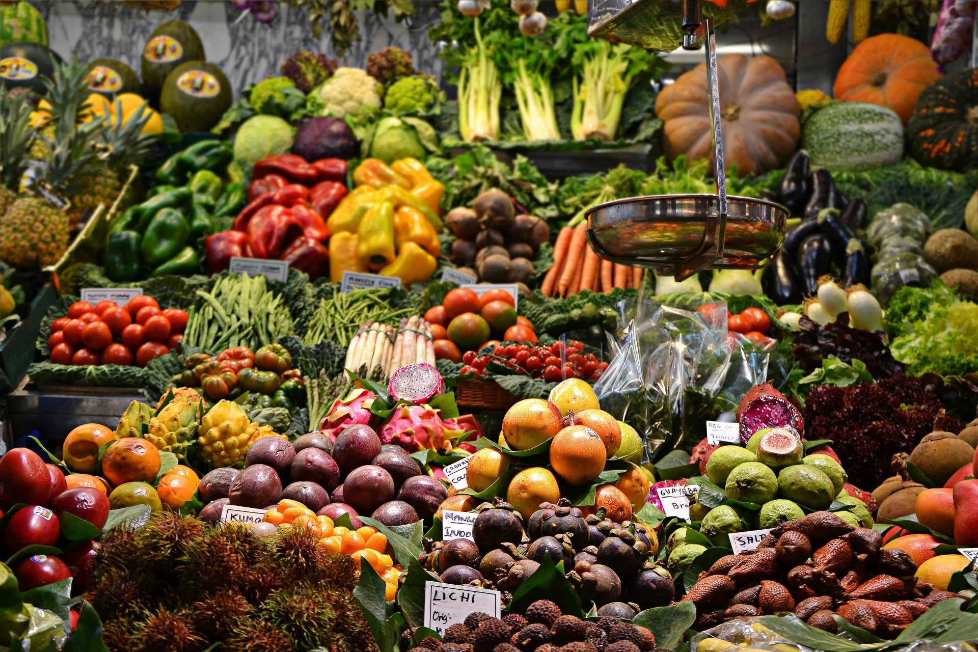 Navarra - Menestra de Verduras