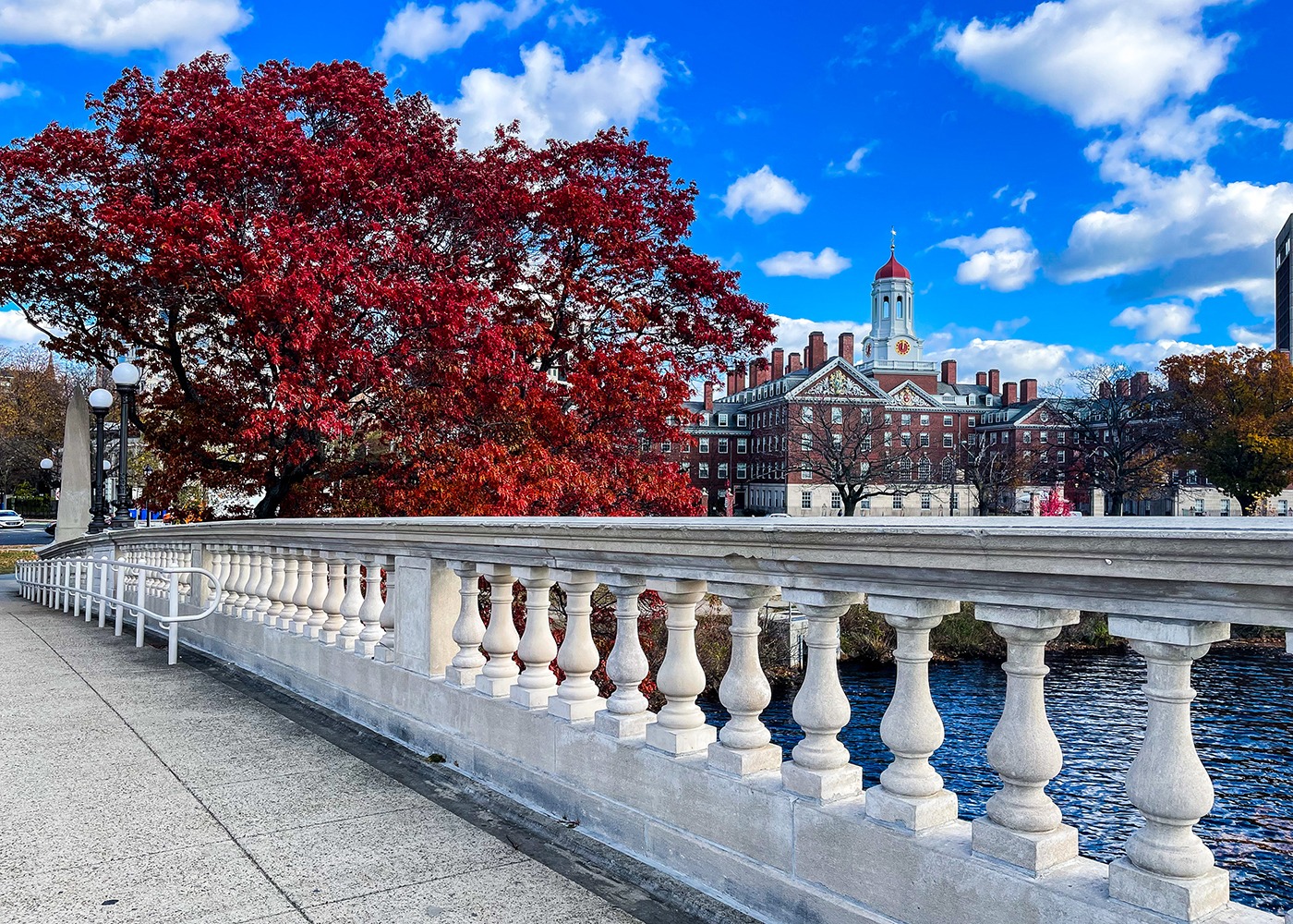 8. Harvard University 