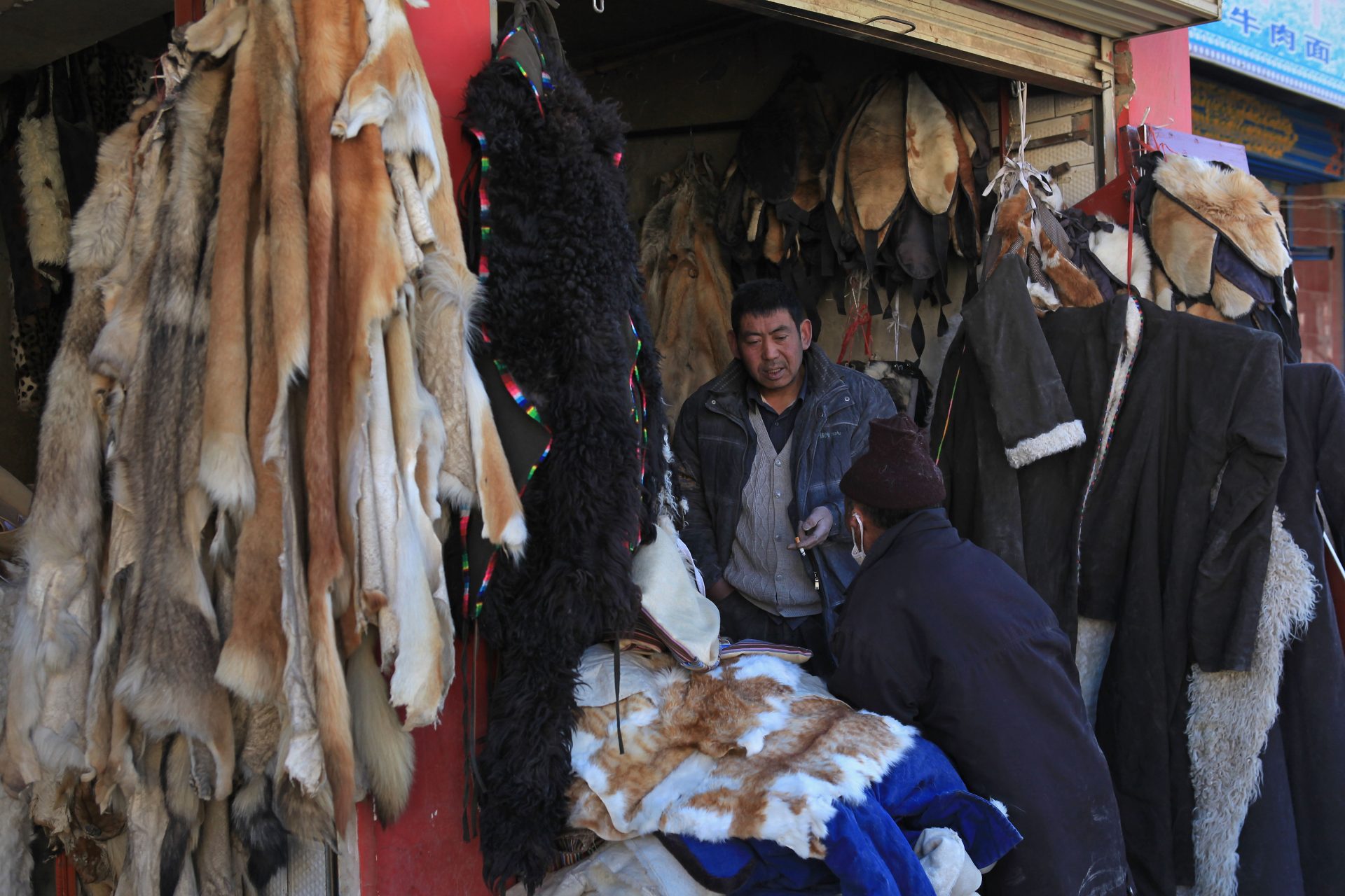 El estudio vincula pandemias anteriores con contactos animales en mercados chinos