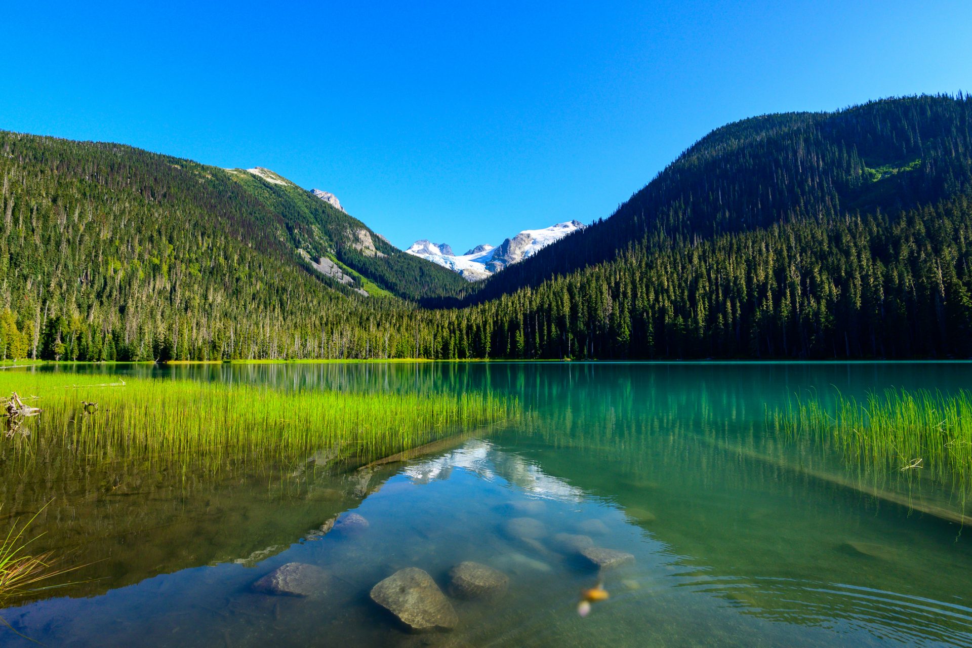 The Canadian lake that can explain the origins of life on Earth