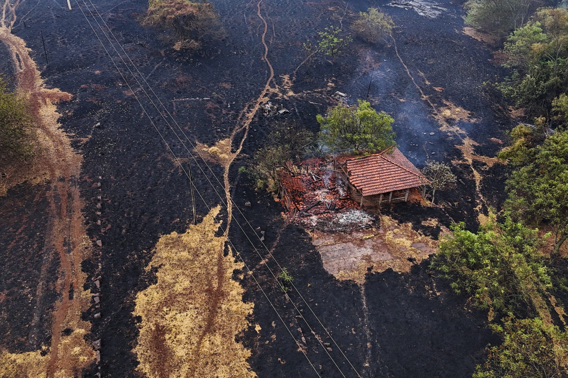 Brazil leads the number of wildfires