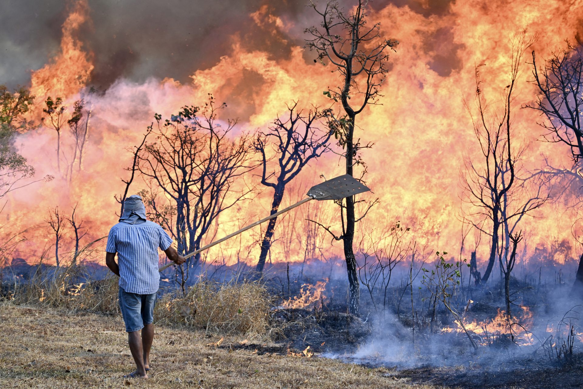 True causes and consequences of the record-breaking wildfires in Brazil