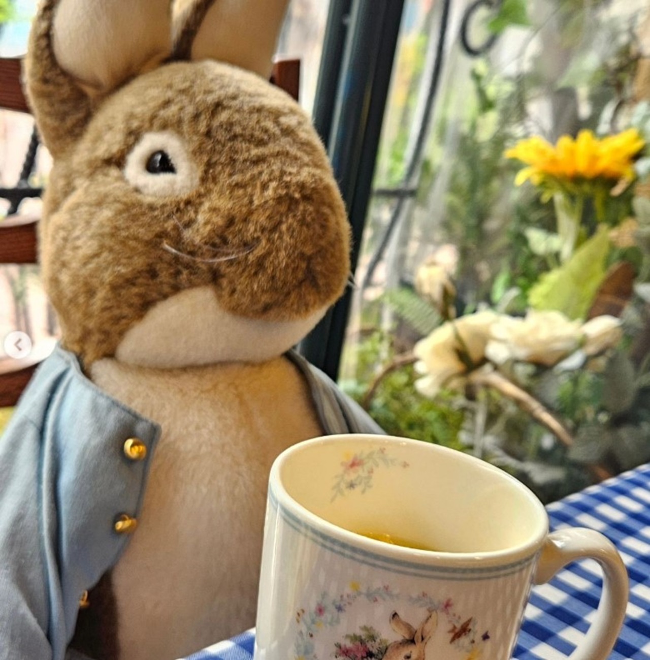 Café-jardín Peter Rabbit