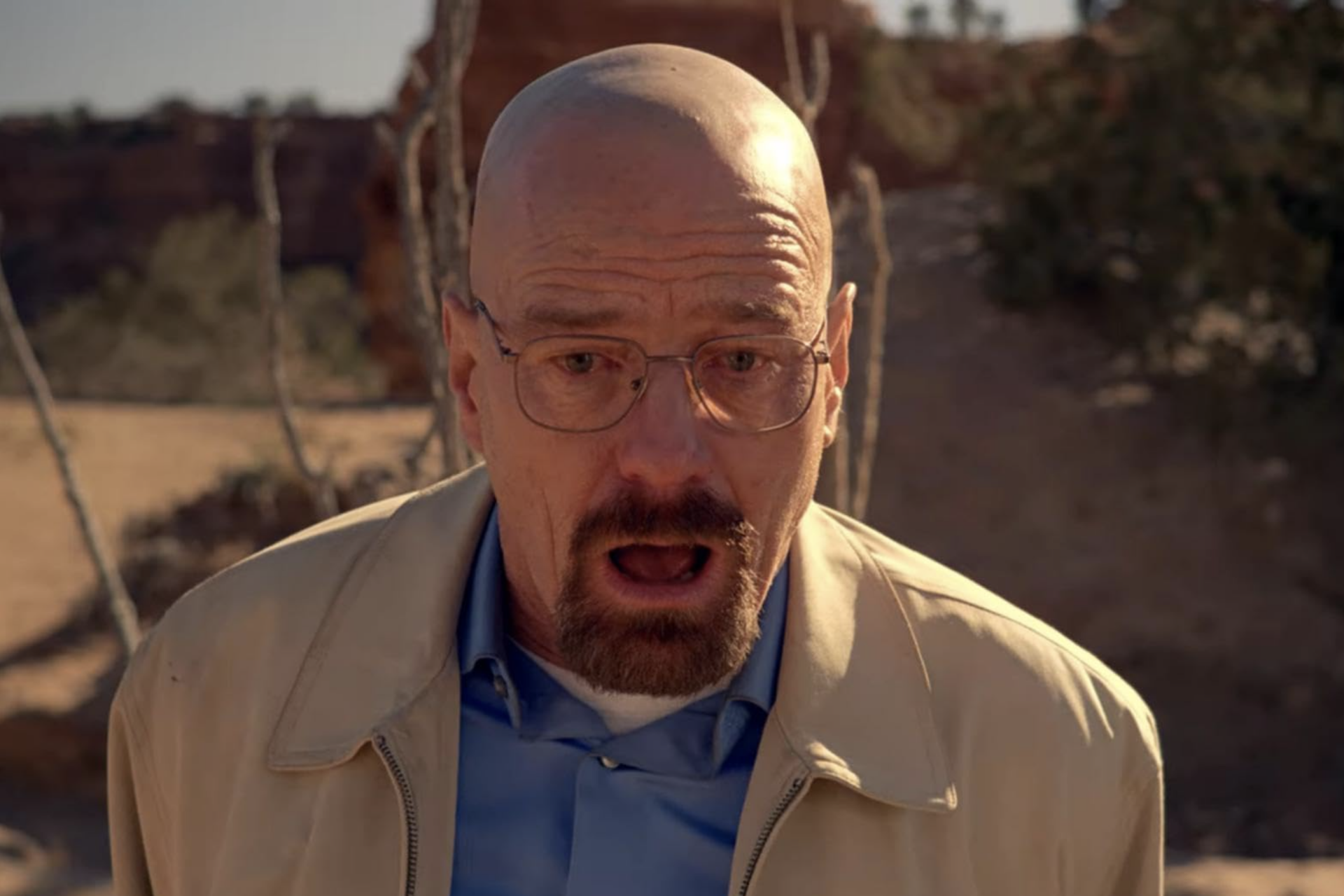 Breaking Bad - 2014