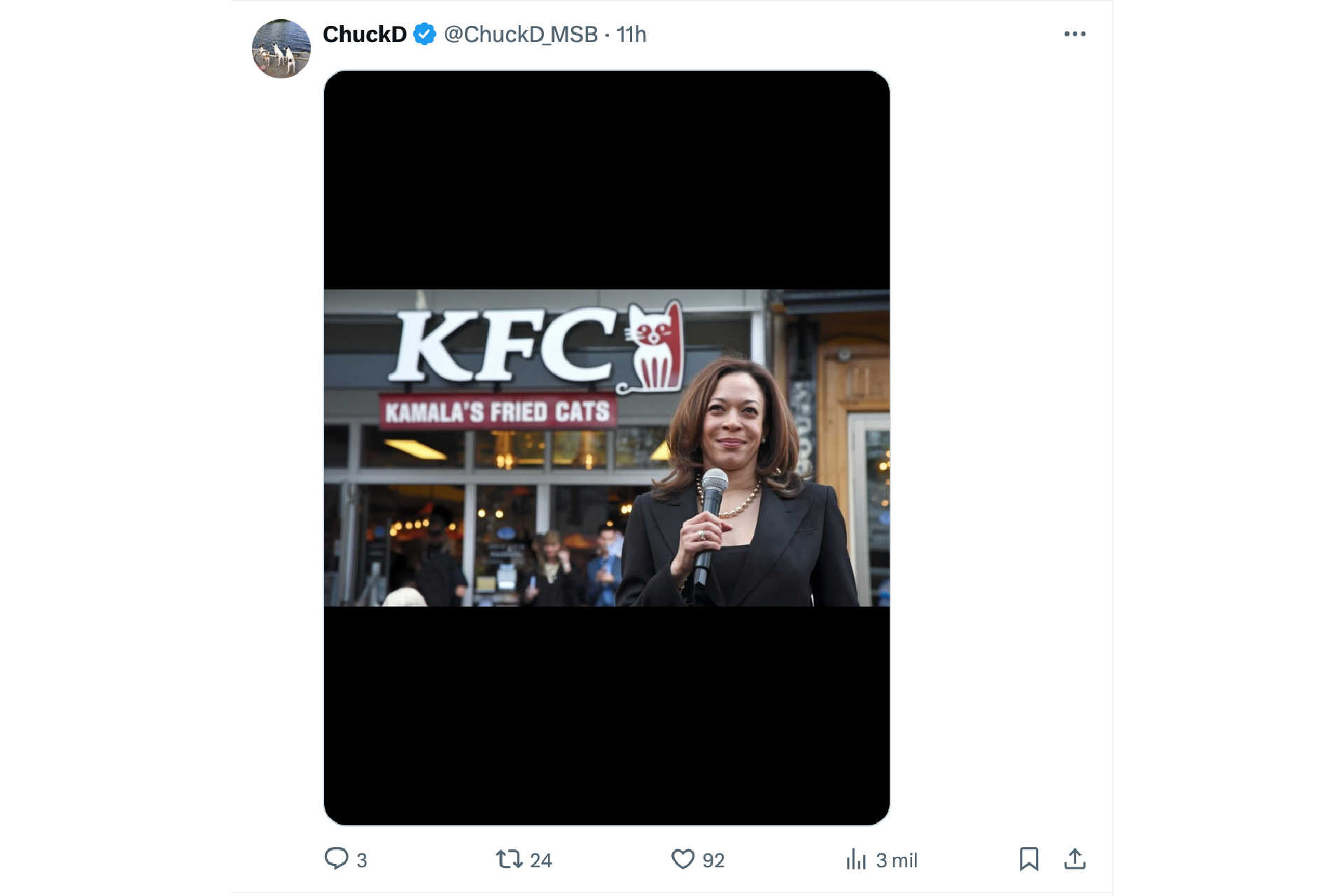 Kamala's Fried Cats