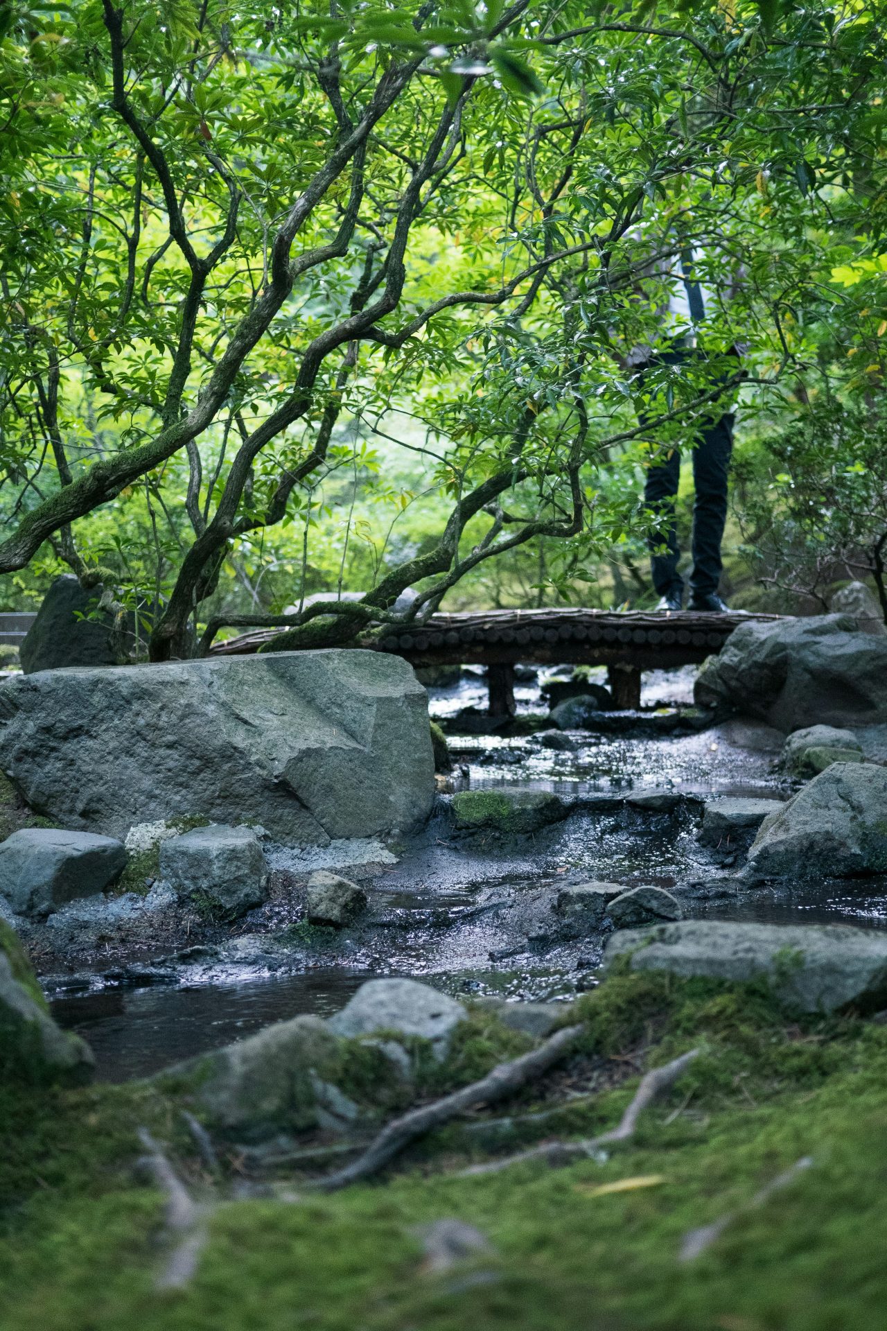 ポートランド日本庭園（アメリカ、ポートランド）