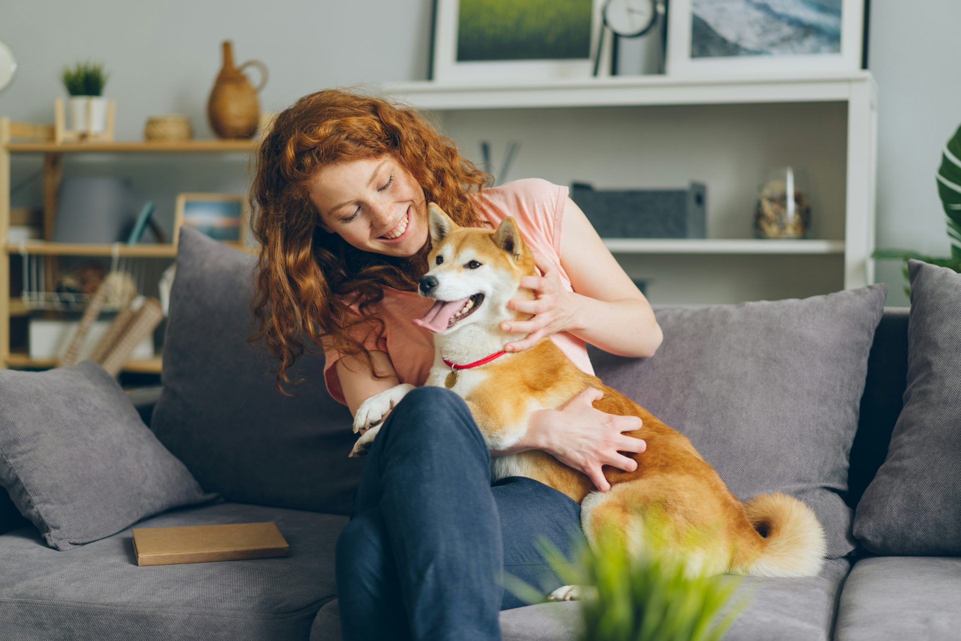 La Vierge aime la nature et les animaux