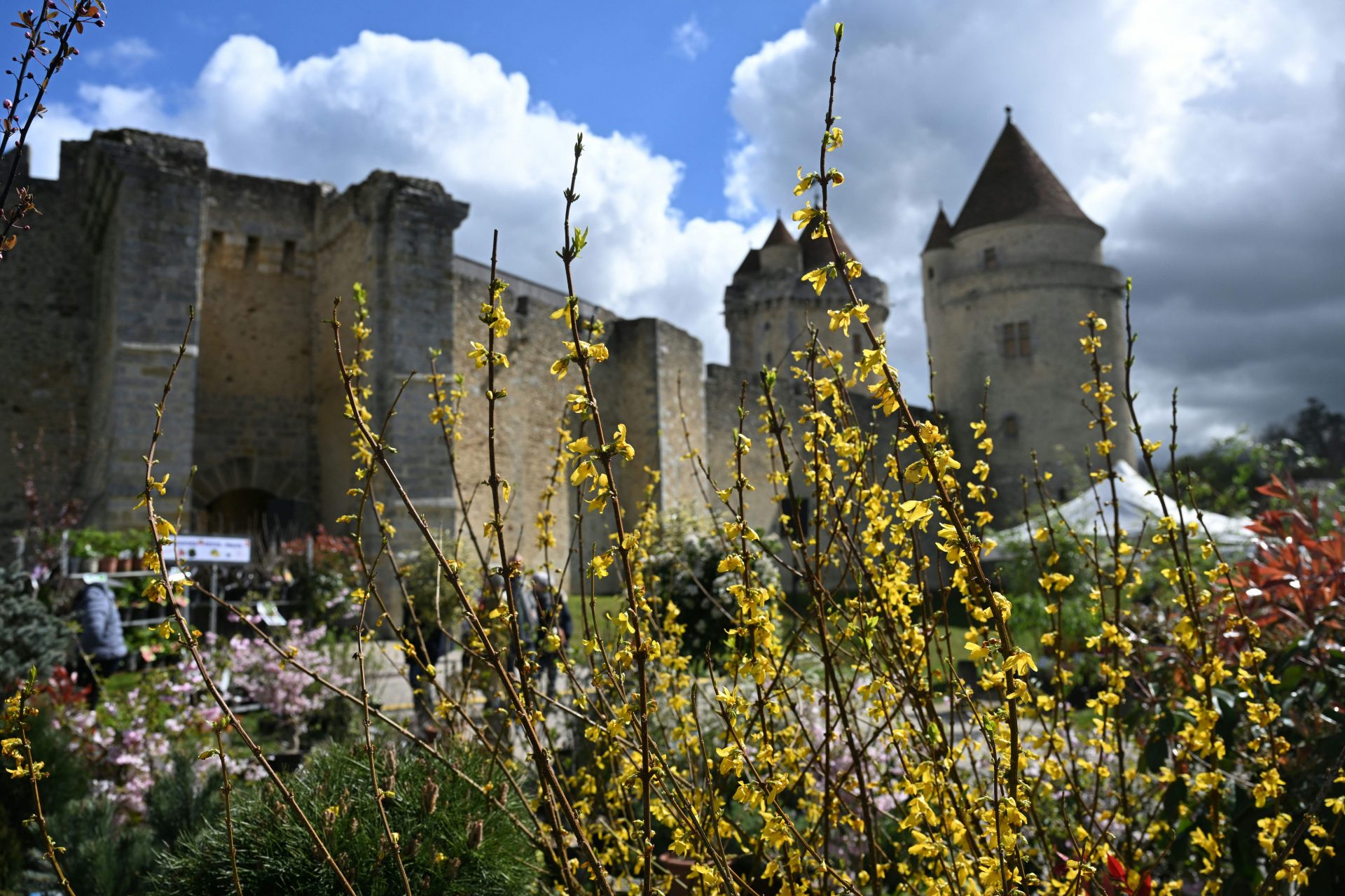 Château de Blandy