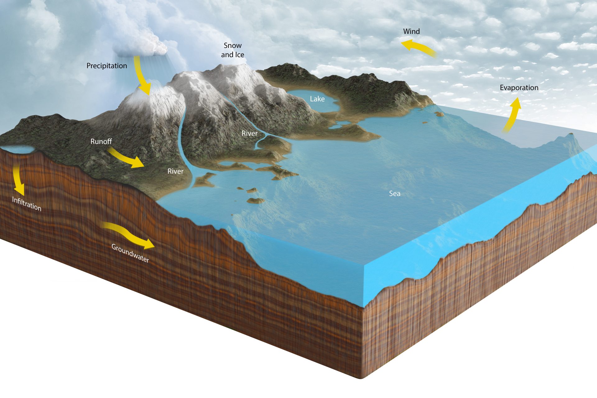 This is how the water cycle works 