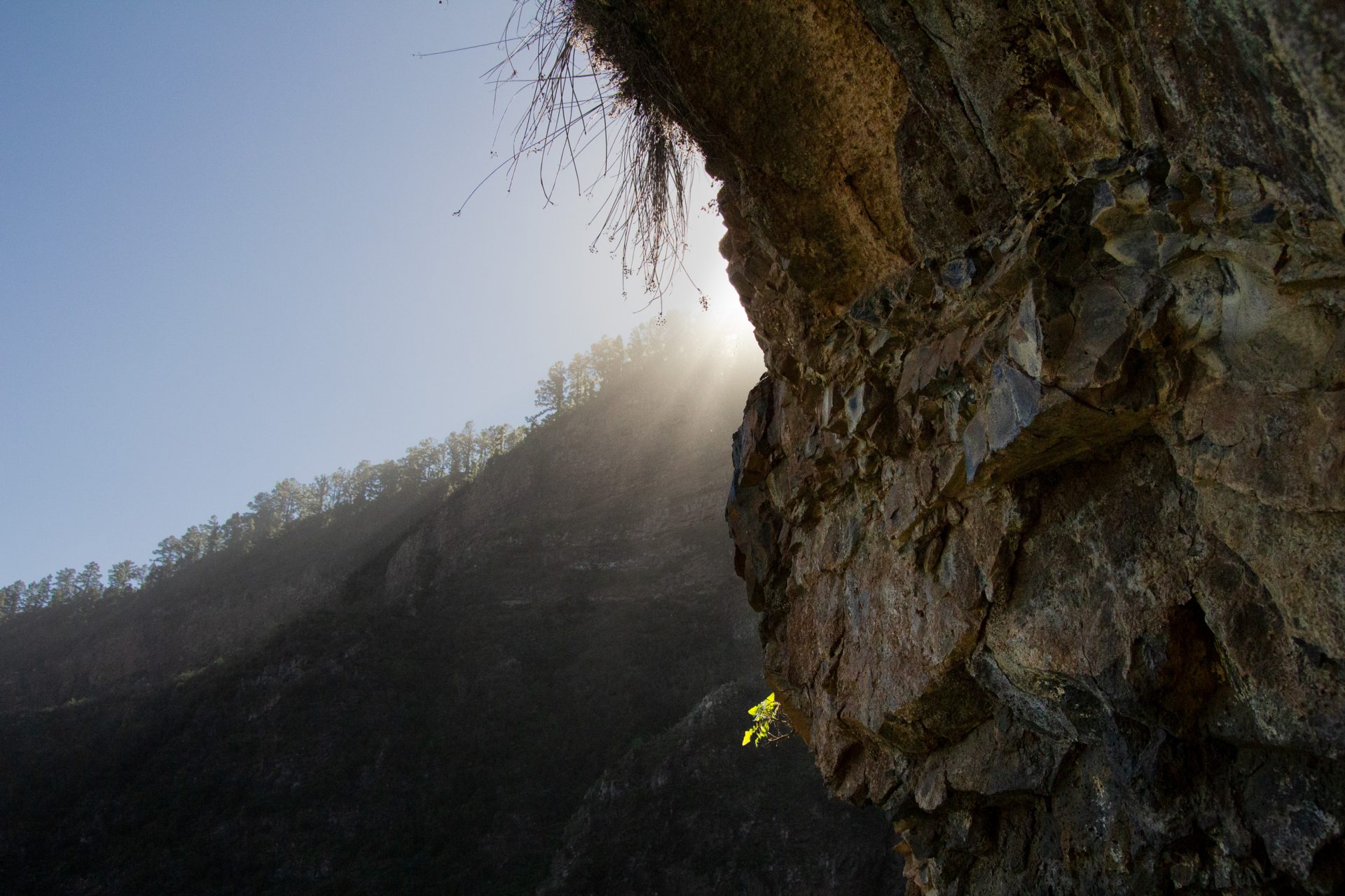 Badajoz Ravine (Tenerife, Spain)