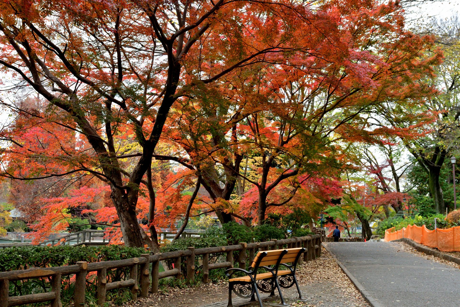 Tokio, Japón