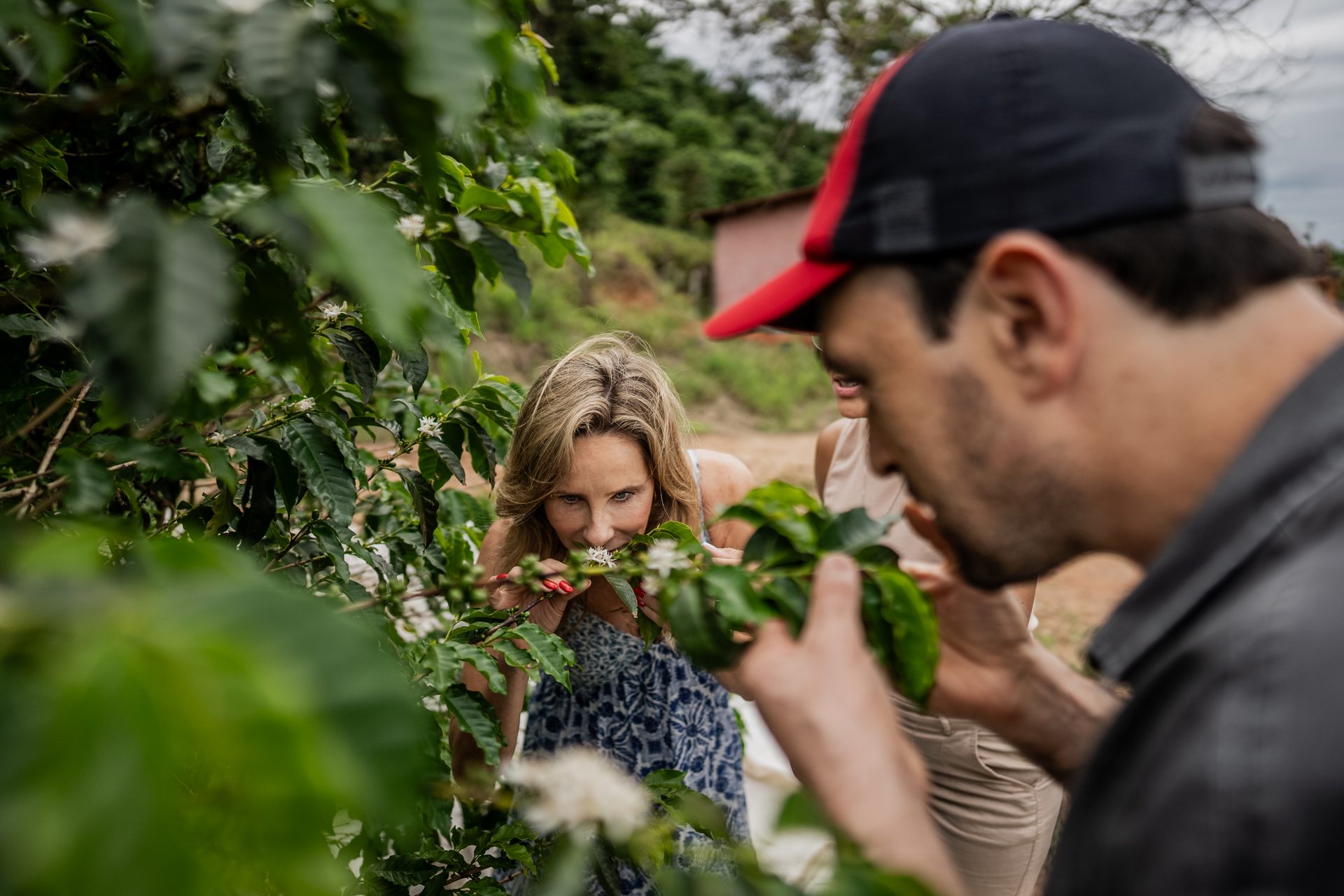 Extreme temperatures can make cultivation challenging