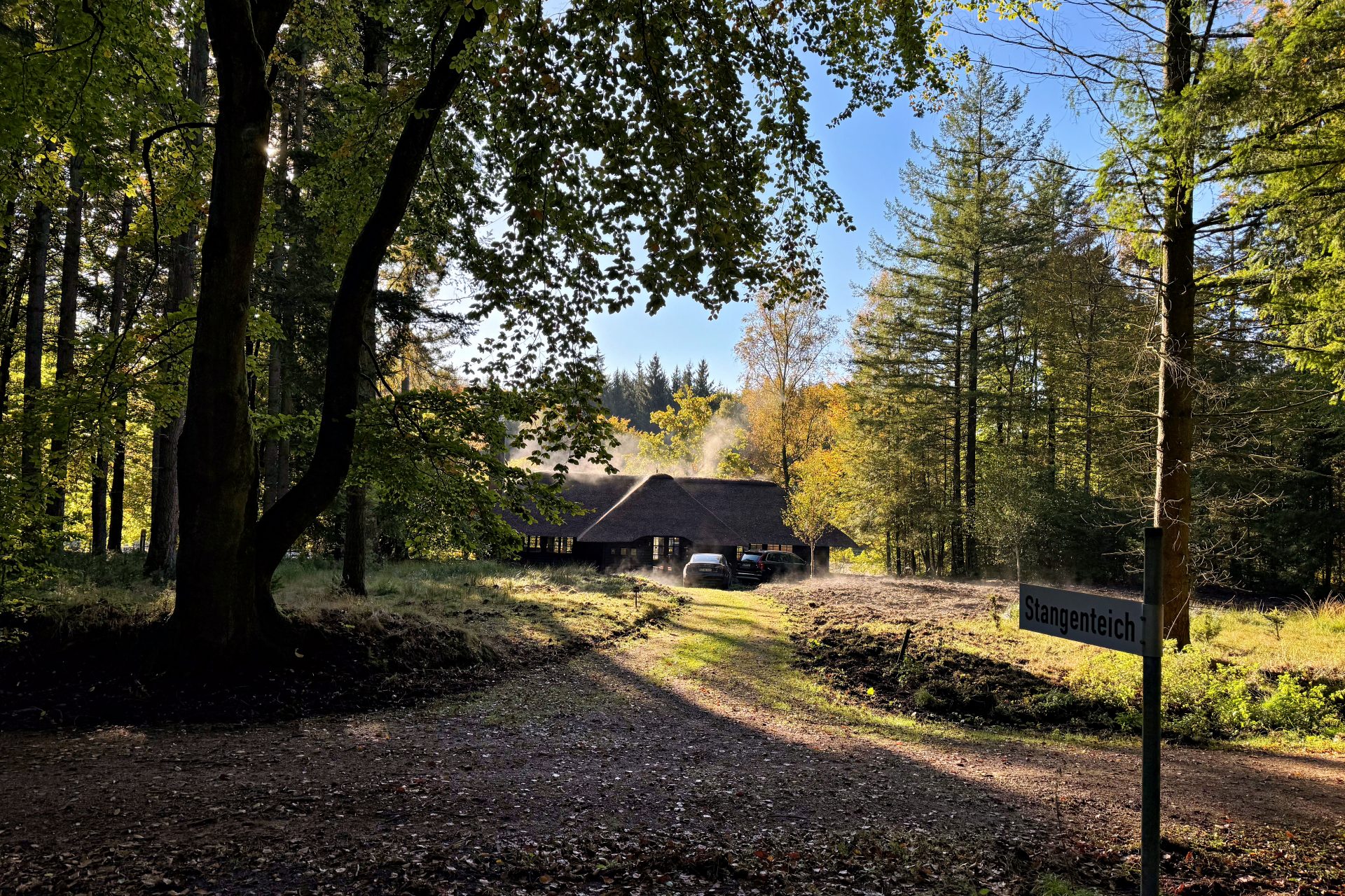 Steueroase im Wald