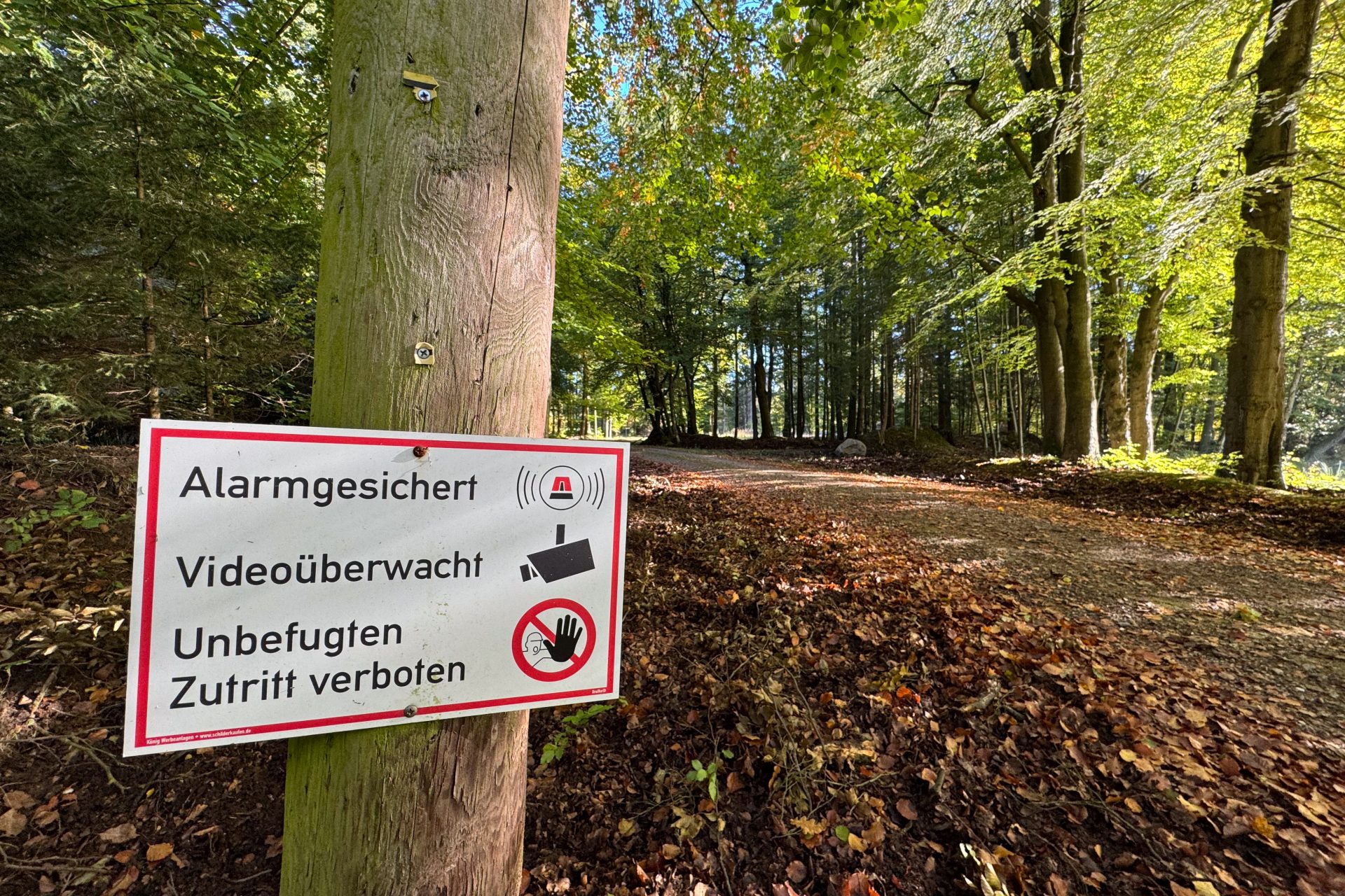 Hier kassiert Bismarcks Urenkel: Die Steueroase im Sachsenwald