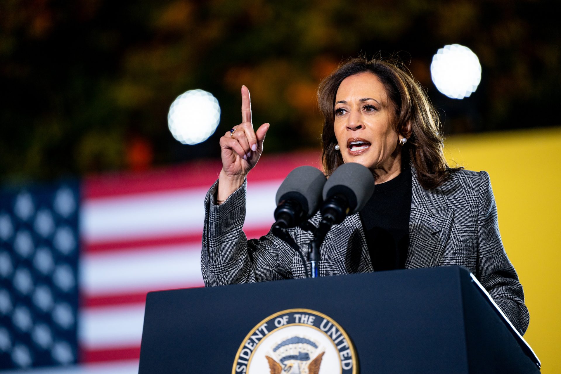 Experts endorse Harris's 'vastly superior' plan for the US economy