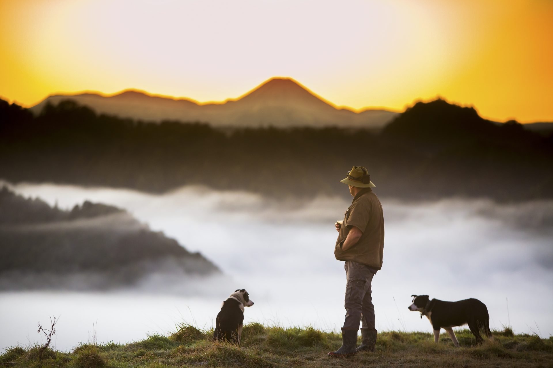 愛犬家として知られる男性スターたち