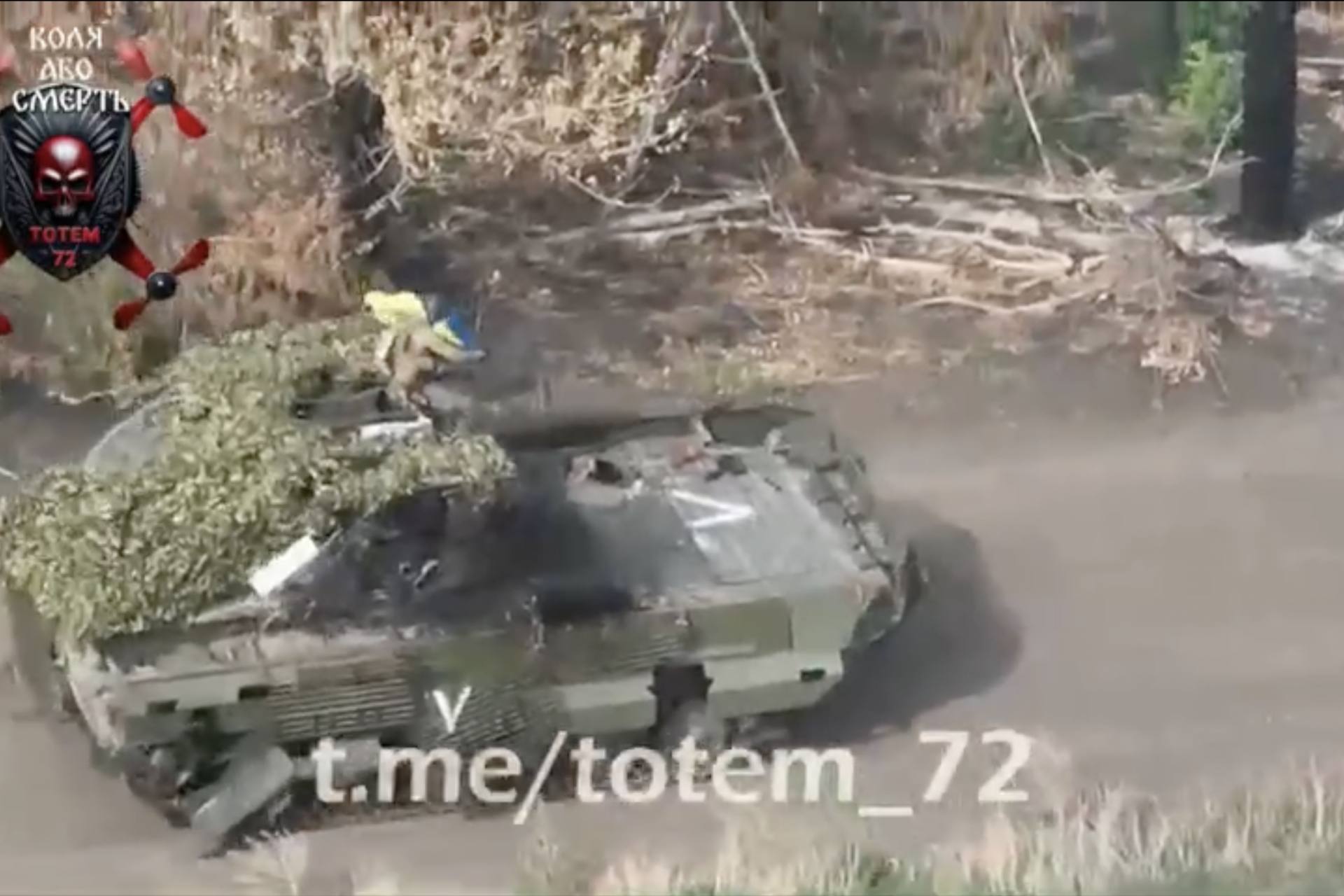 O BMP-2 foi provavelmente capturado 