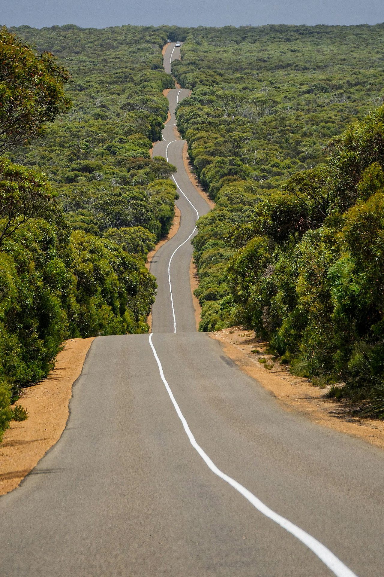 Australie : ne pas dépasser de la vitre