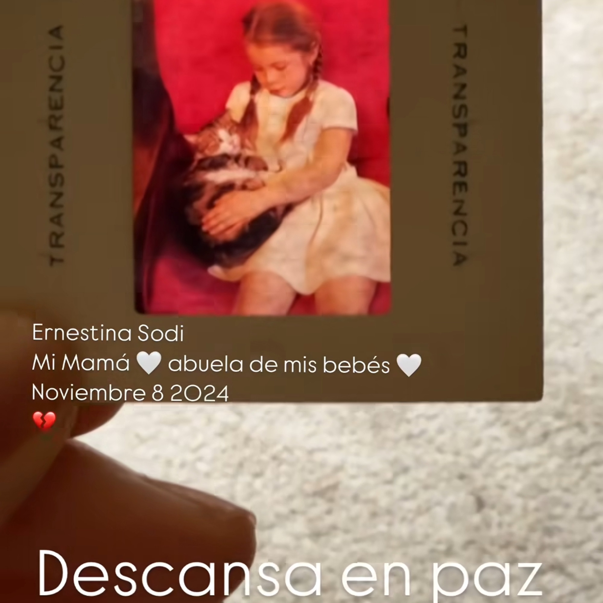 Su hija Camila Sodi confirmó la noticia 