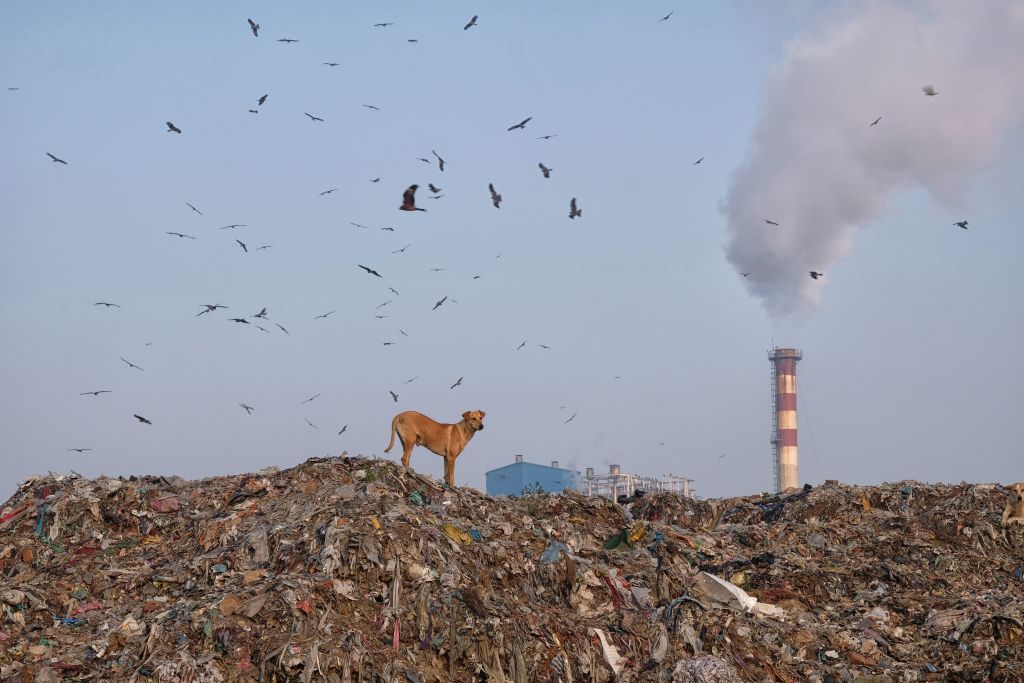 En Nueva Delhi las cenizas no están contenidas 