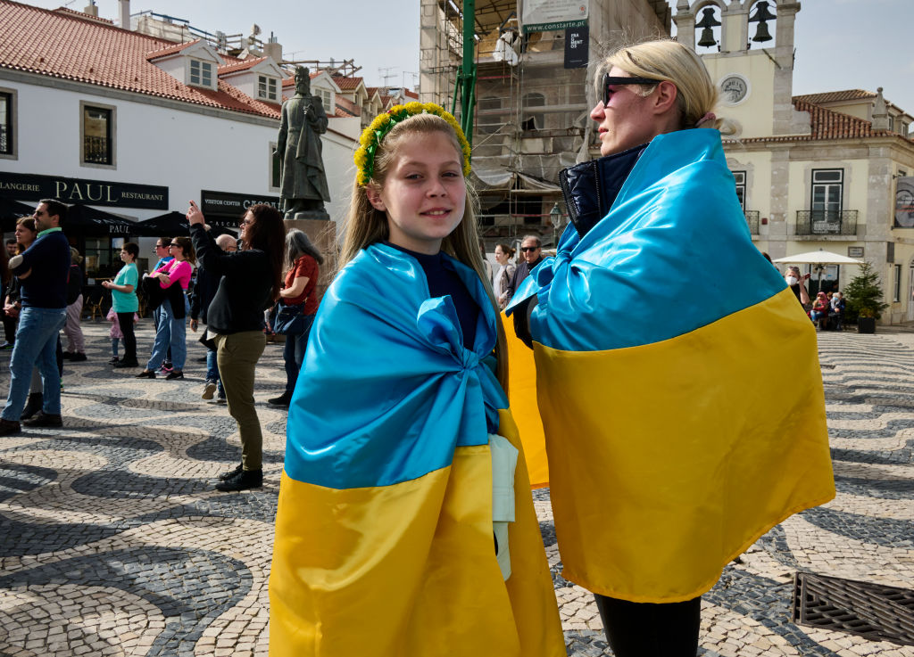 Nobody actively supports Zelensky's victory plan