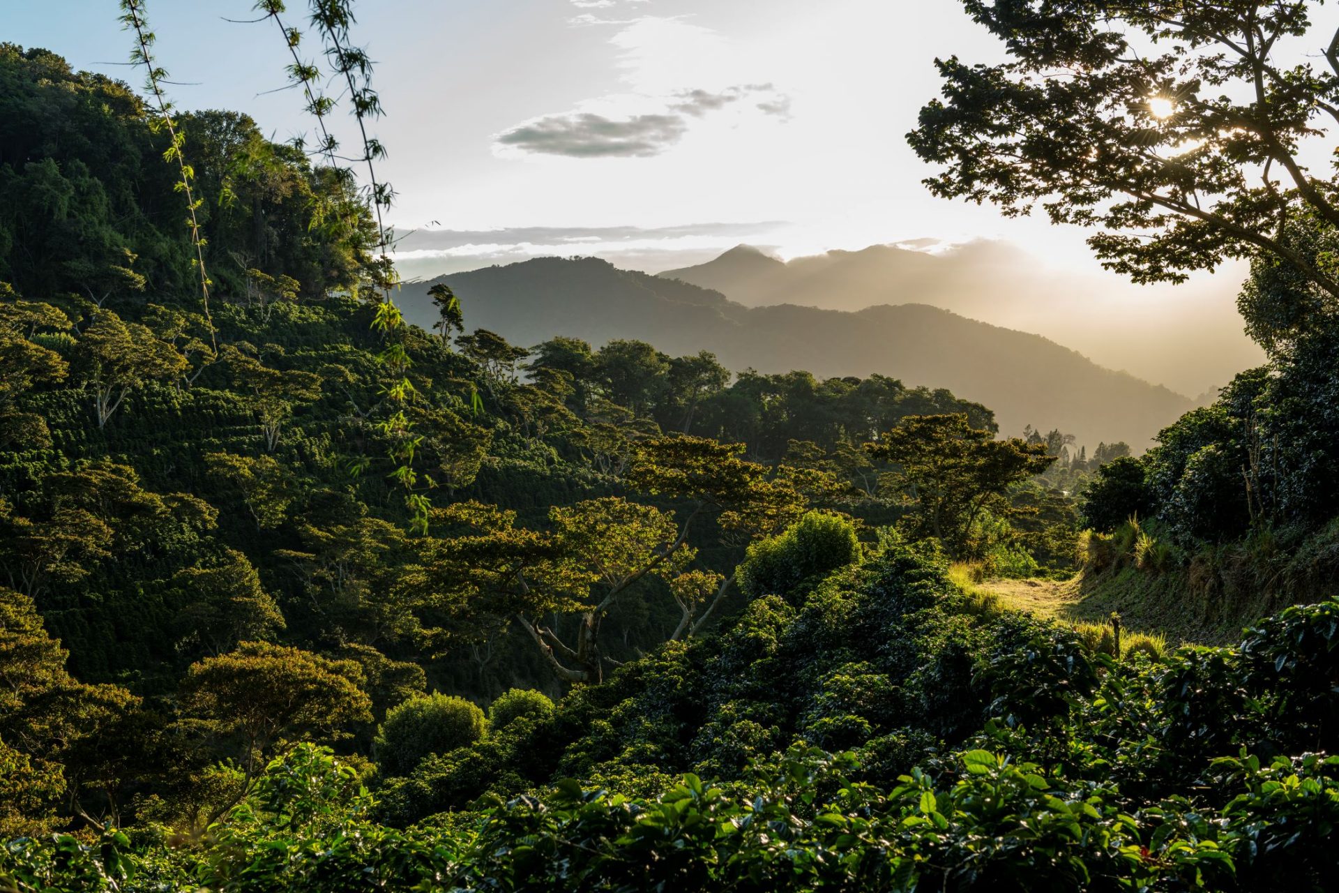 Chiriquí, Panamá