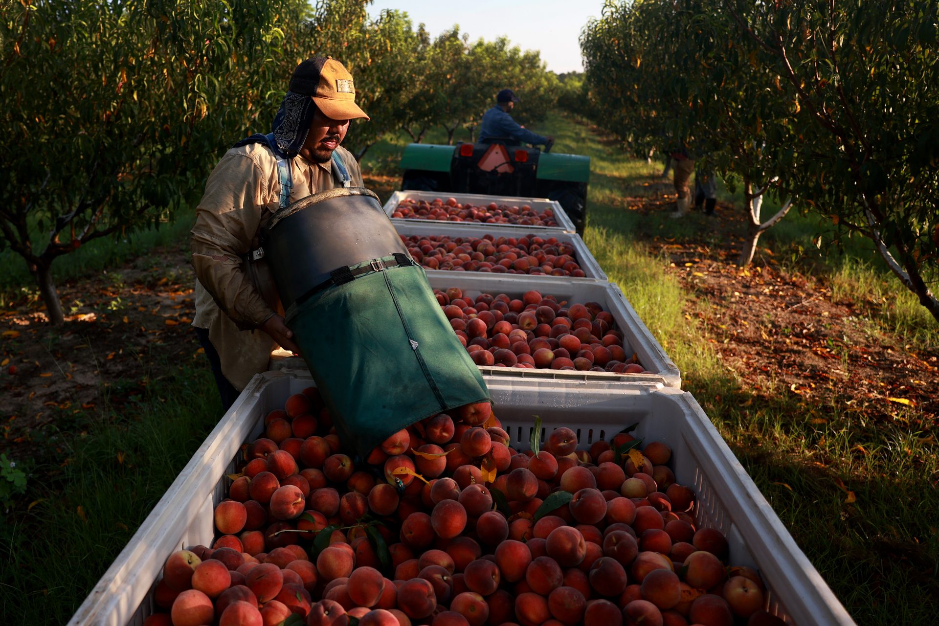 The labor market