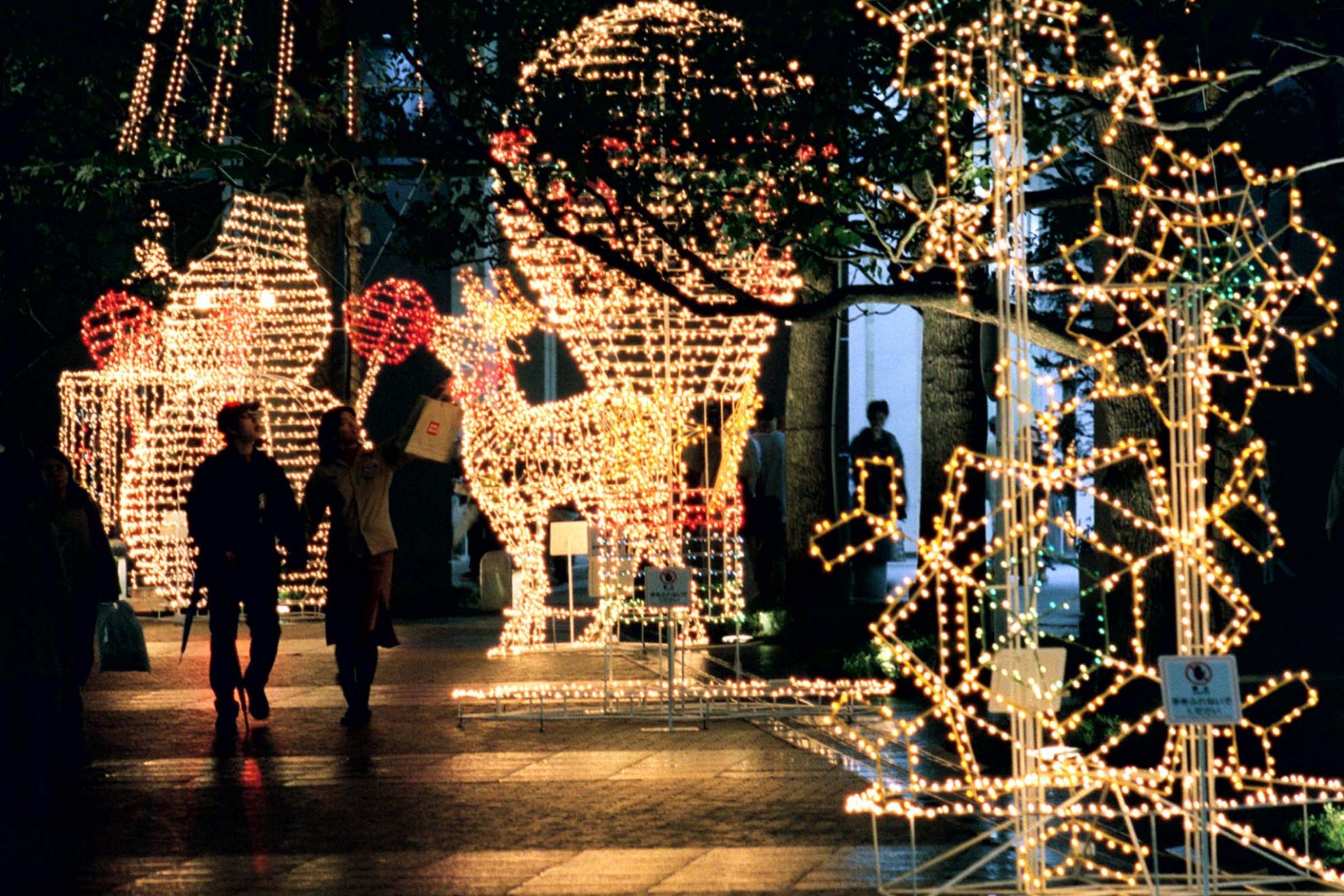 圧巻！世界の各都市を彩る巨大クリスマスツリー