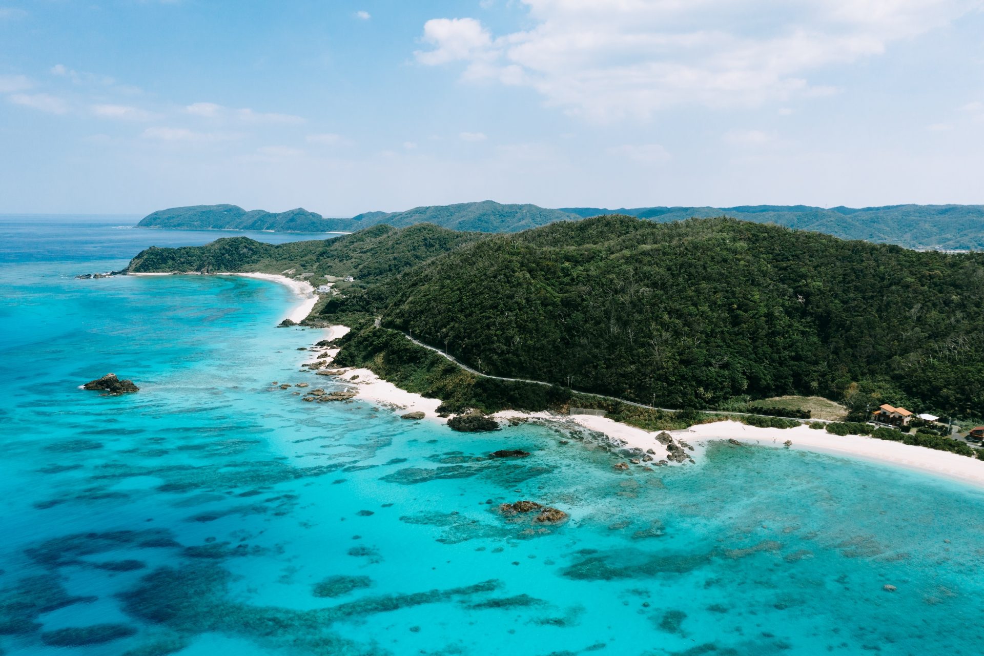 A conservation calamity on Amami Oshima island