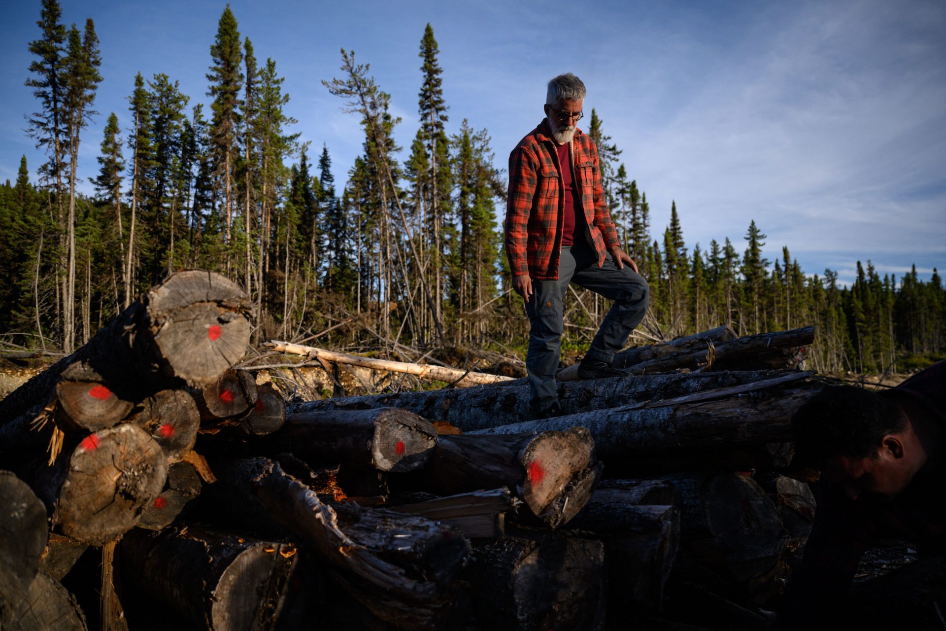 Why logging is America’s most lethal occupation but worth the risks