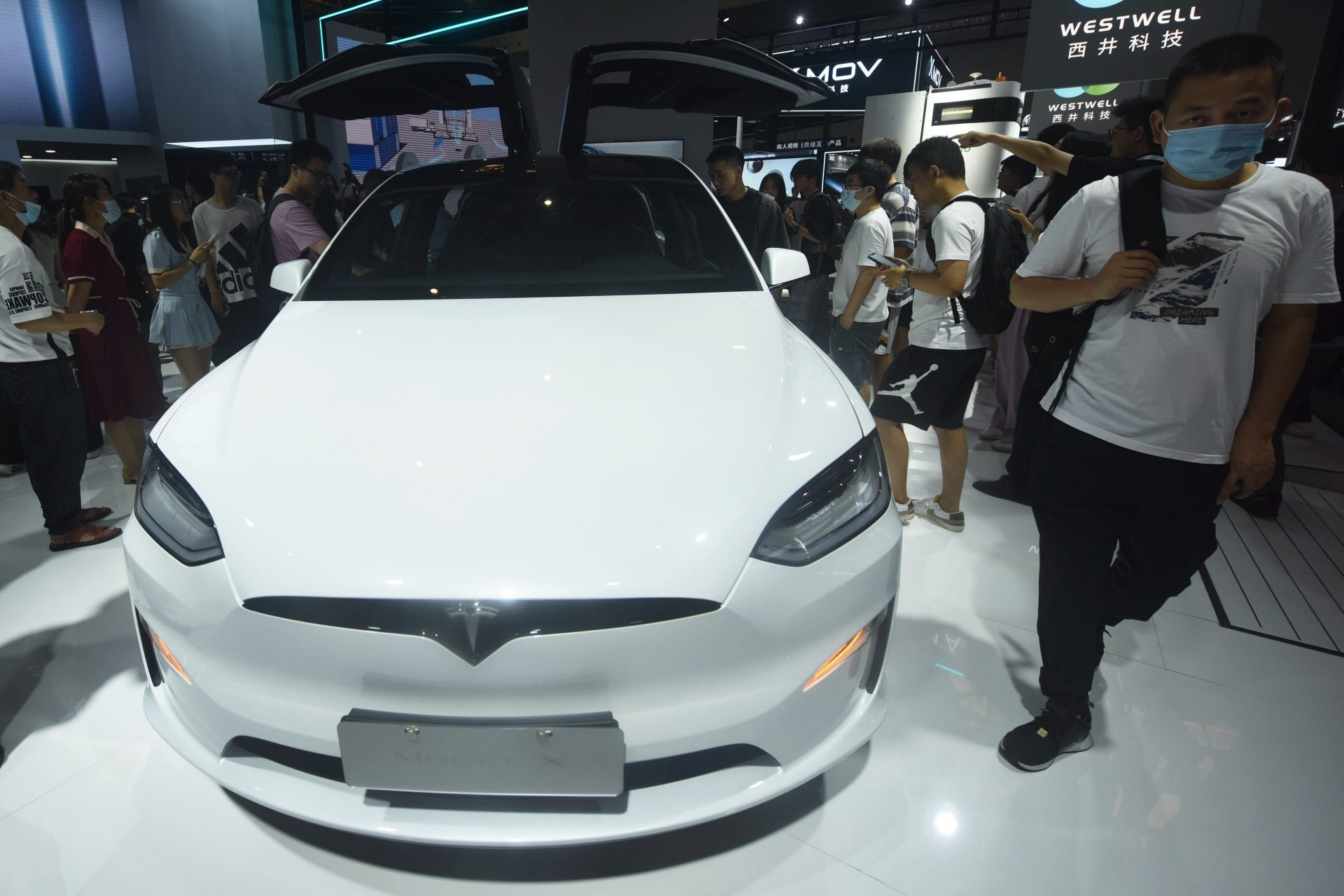 Musk's EVs in the firing line