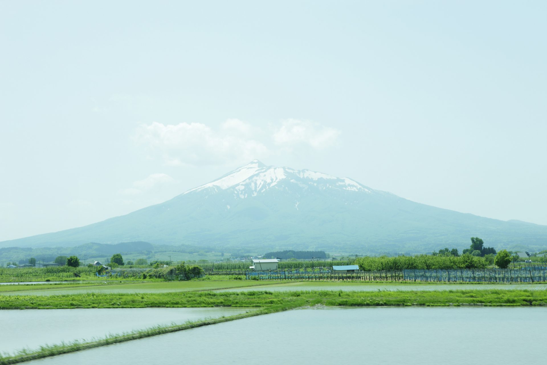 「りんごまるかじり条例」：青森県板柳町（いたやなぎまち）