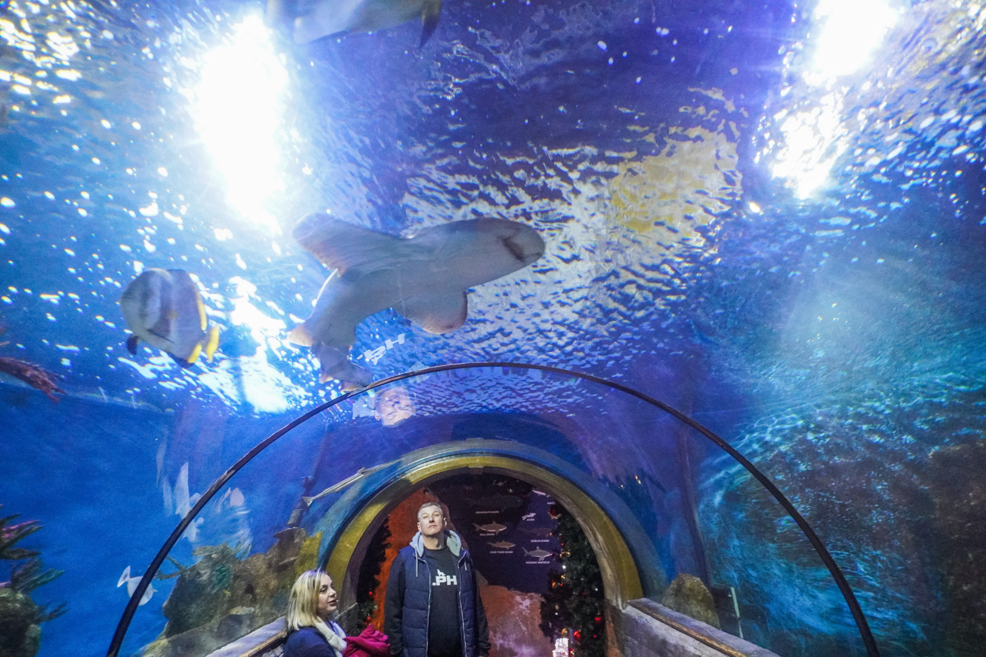 AquaRio (Río de Janeiro / Brasil)