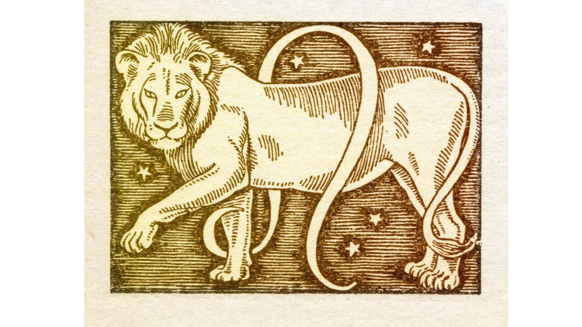 Leo (July 23 – August 22)