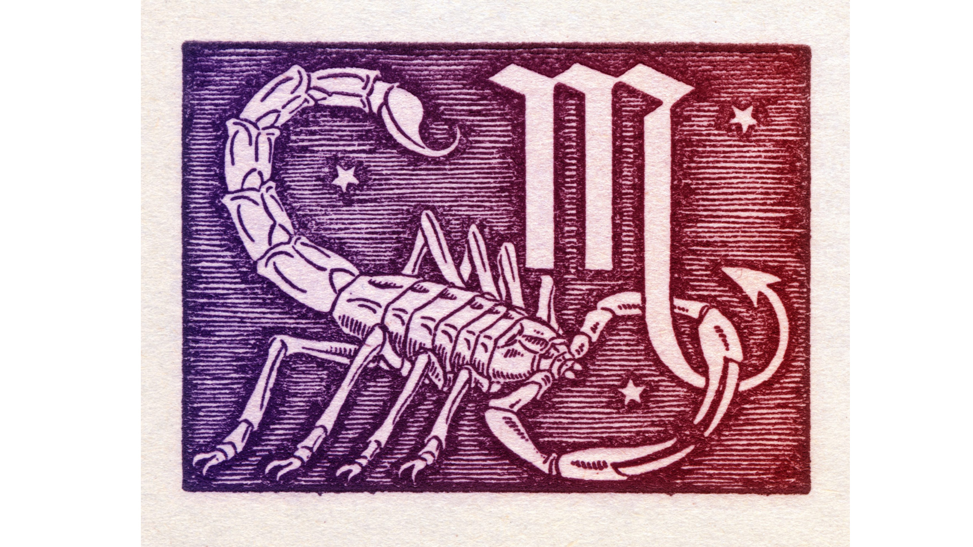 Scorpio (October 23 - November 21)