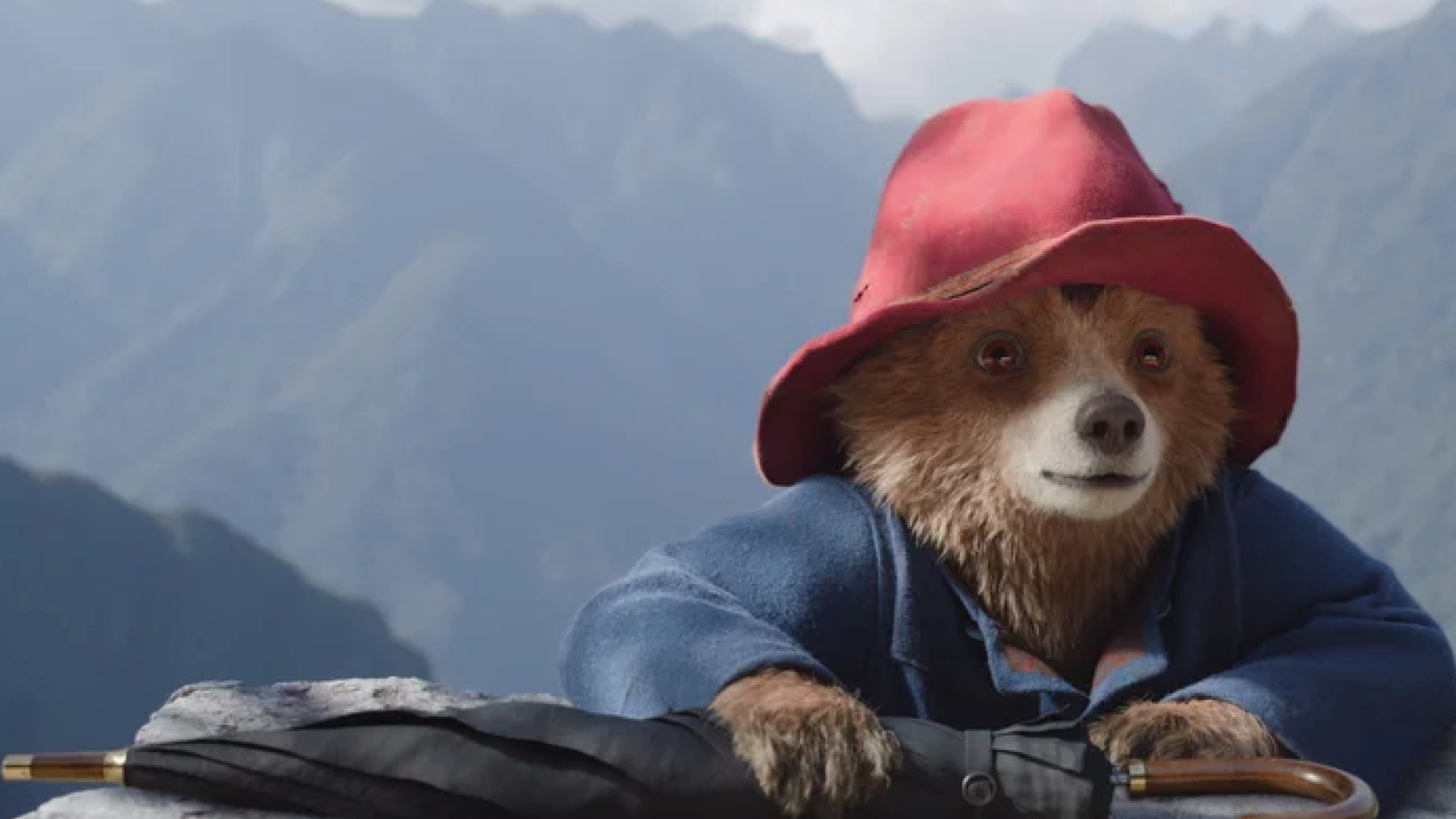 Paddington en Perú - (Febrero)