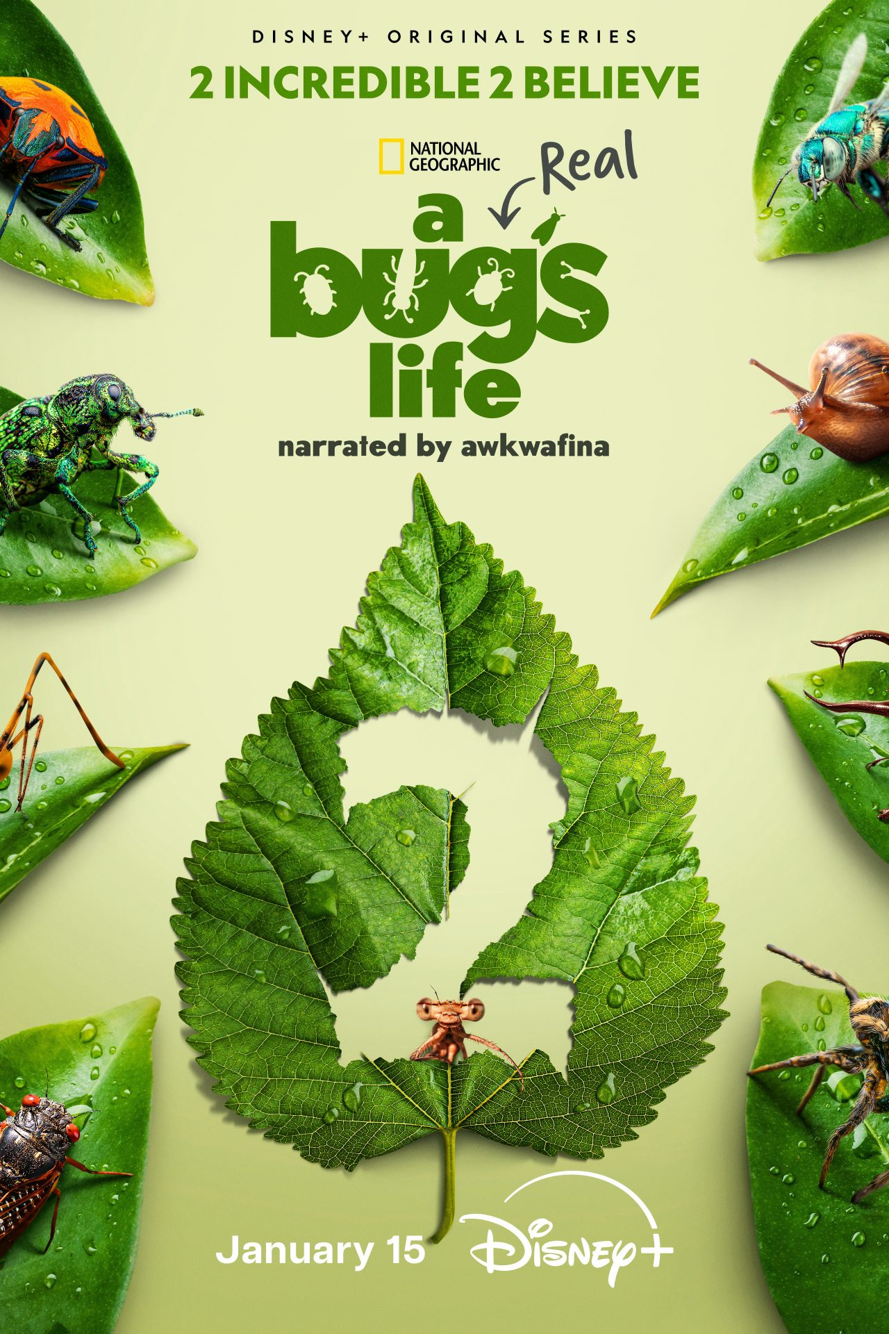 'A real bug's life': Temporada 2 (Disney+)