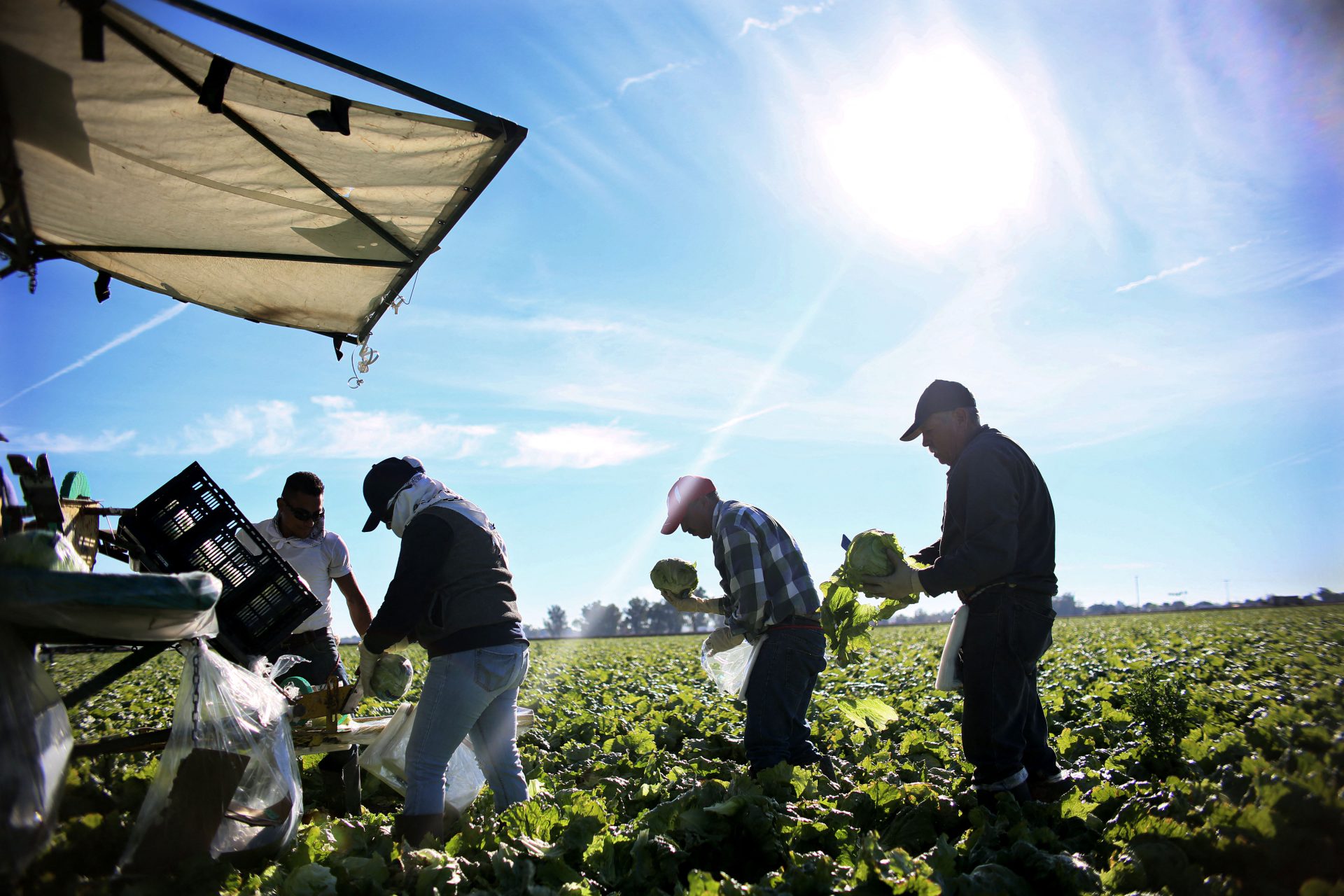 'Vengo a hablar en nombre de millones de inmigrantes'