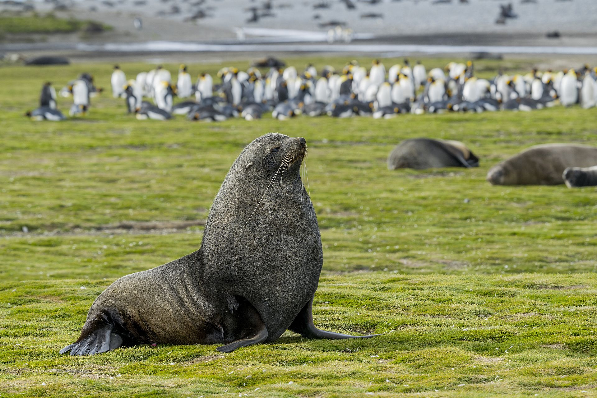 A threat to biodiversity