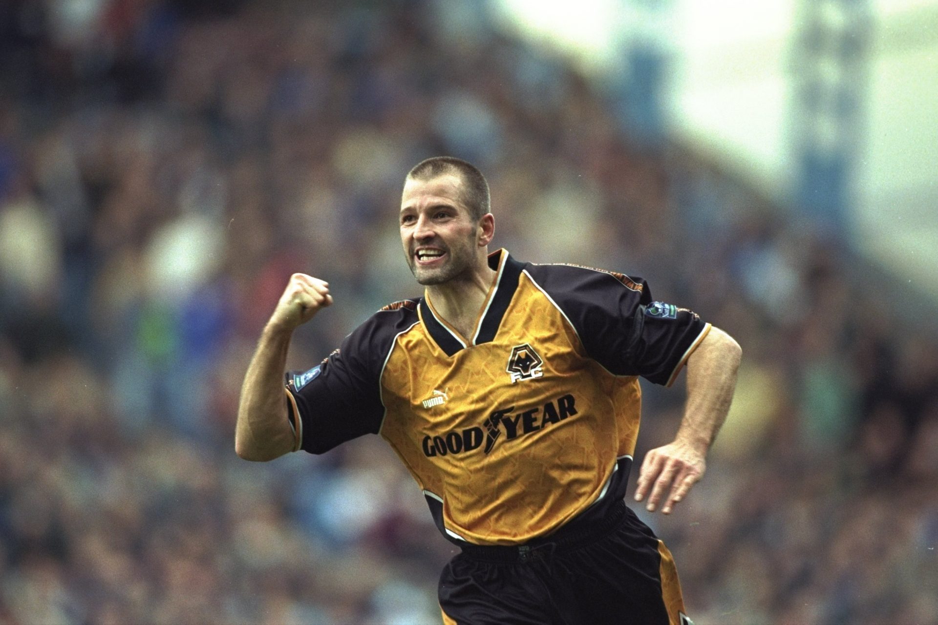 Wolves (Steve Bull) 