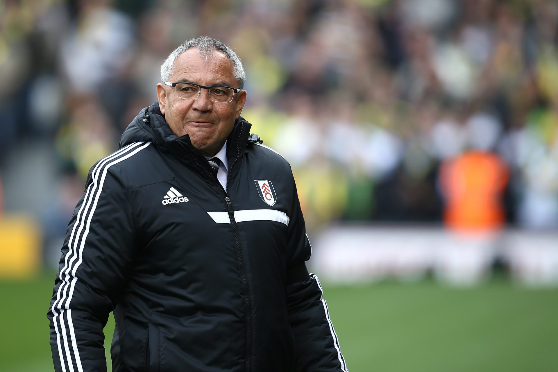 Fulham - Felix Magath