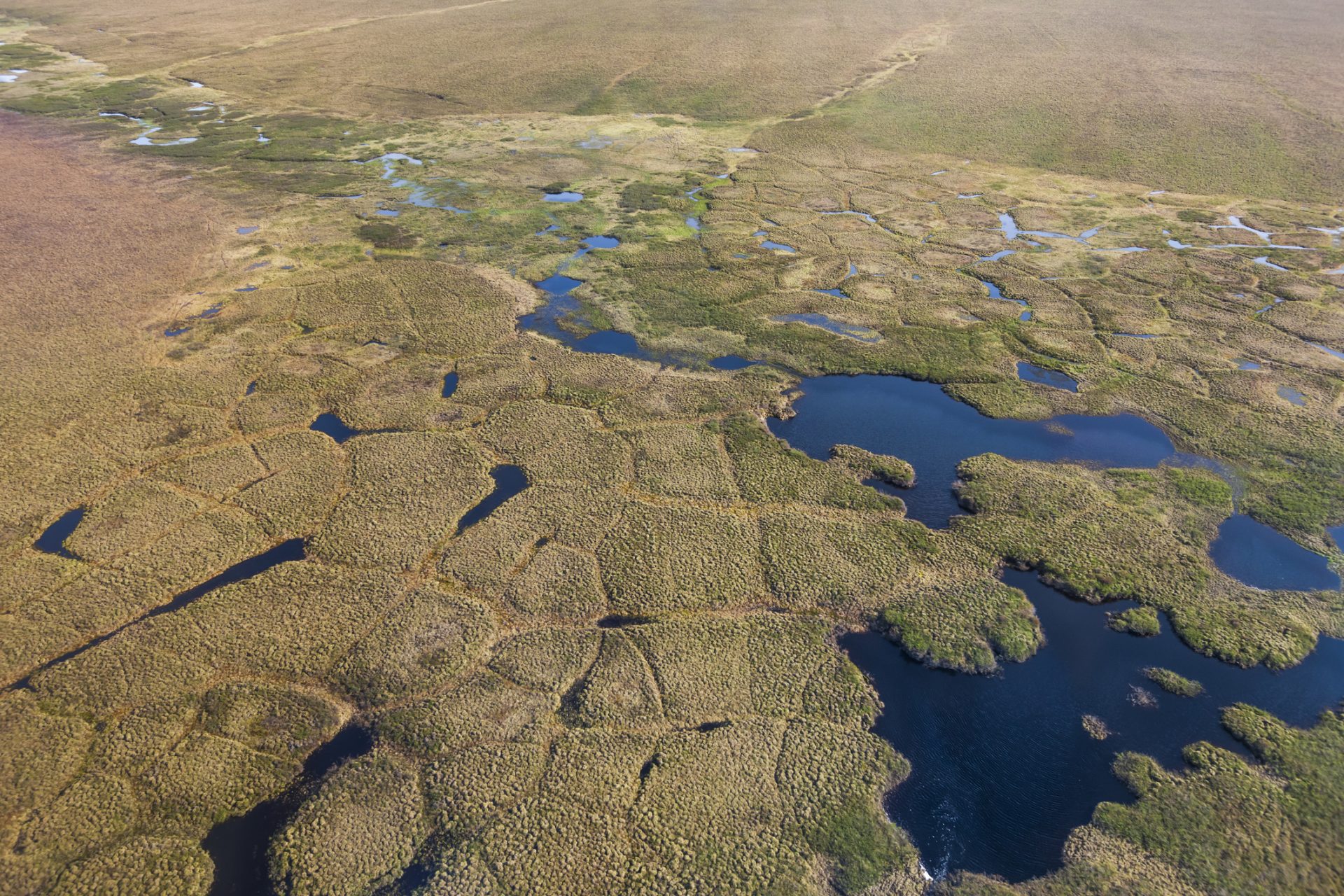 Estudio alerta sobre el acelerado deshielo del permafrost en Siberia y Canadá