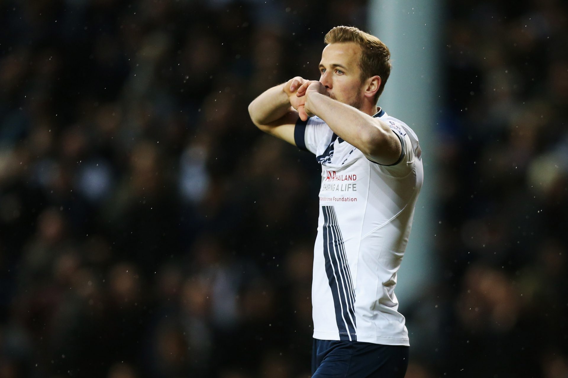 2015/16 Harry Kane 