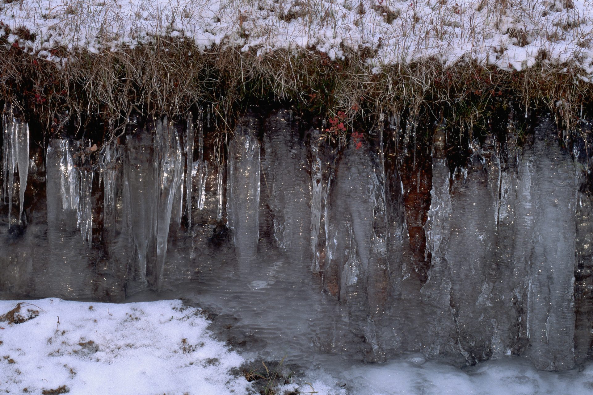 ¿Qué es el permafrost?