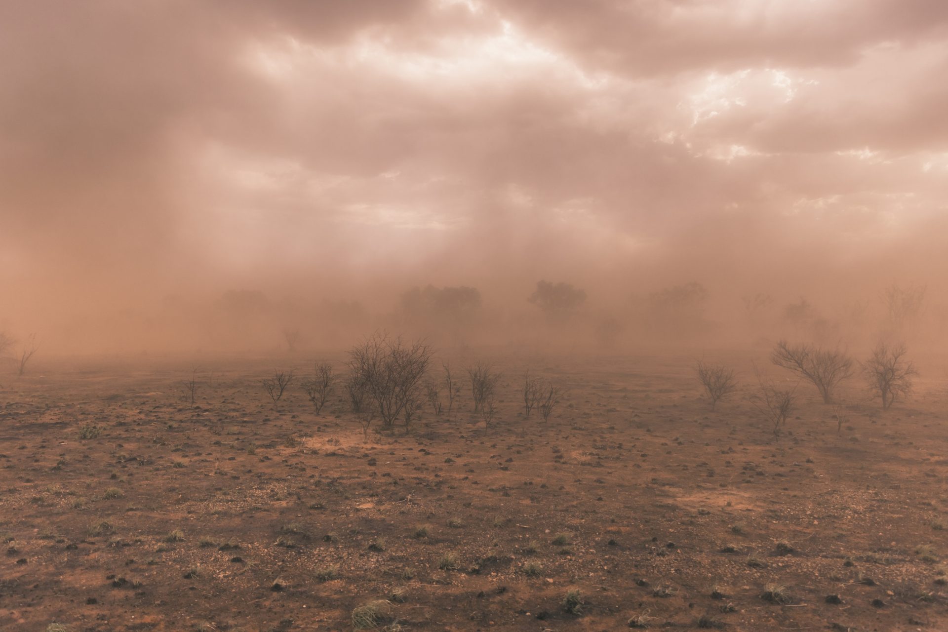 Alteraciones climáticas y ecológicas a largo plazo