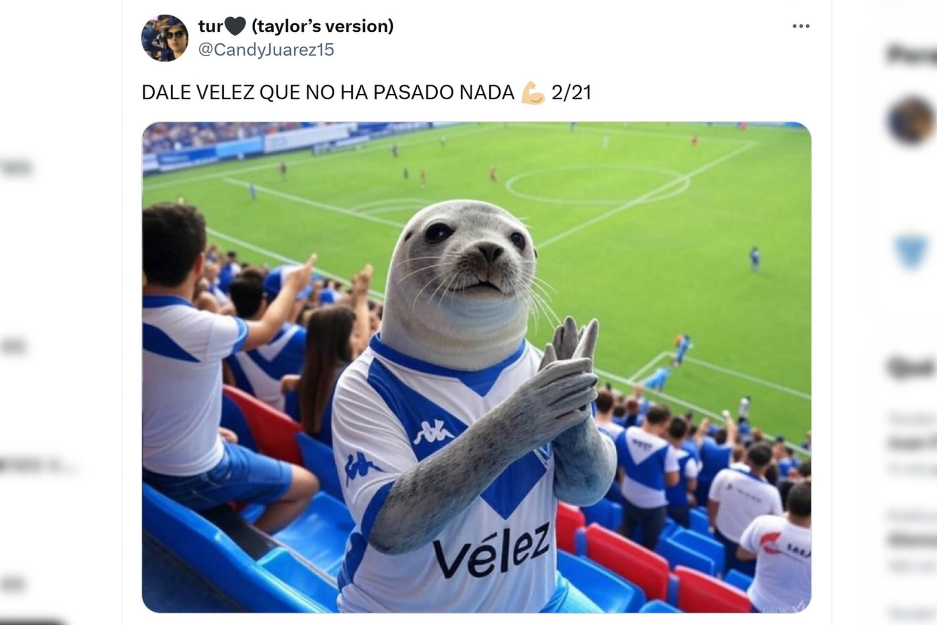 El sorprendente caso de Vélez Sarsfield